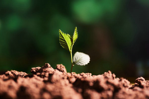 精準(zhǔn)溯源！南京積極探索農(nóng)業(yè)面源污染防治新模式