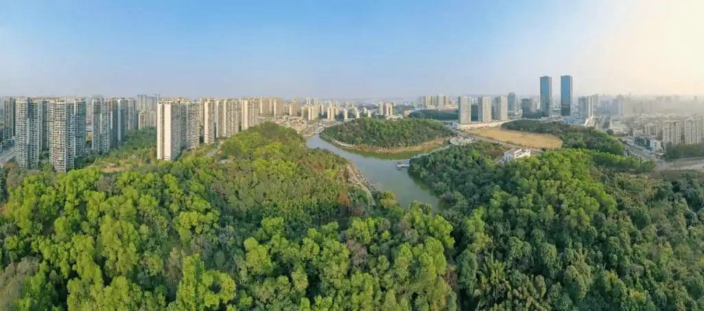 “三進(jìn)三同”攜手共進(jìn)，江門站助力區(qū)縣監(jiān)測見成效