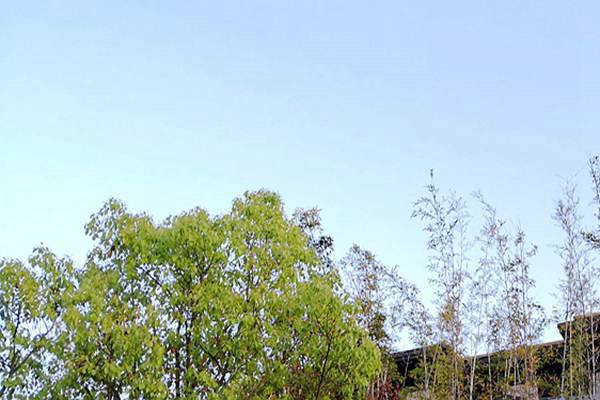 廢氣治理＋綠色運輸！安徽省第三生態(tài)環(huán)境保護(hù)督察組調(diào)研阜陽空氣質(zhì)量提升攻堅 