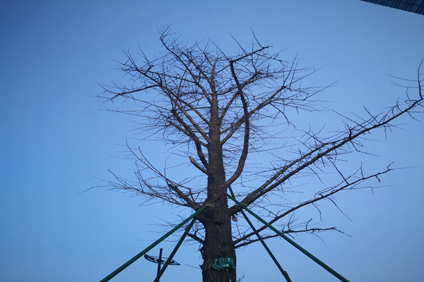 提“氣”質(zhì)丨打造2.0版本，實(shí)現(xiàn)“大數(shù)據(jù)”精準(zhǔn)治污