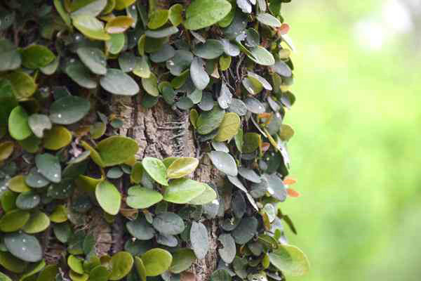 全國已建成“兩級、三類、一清單”的生態(tài)環(huán)境分區(qū)管控體系 