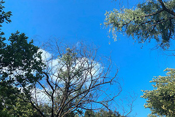 筑牢“真準(zhǔn)全”數(shù)據(jù)基石，數(shù)智賦能打贏藍(lán)天保衛(wèi)戰(zhàn) 