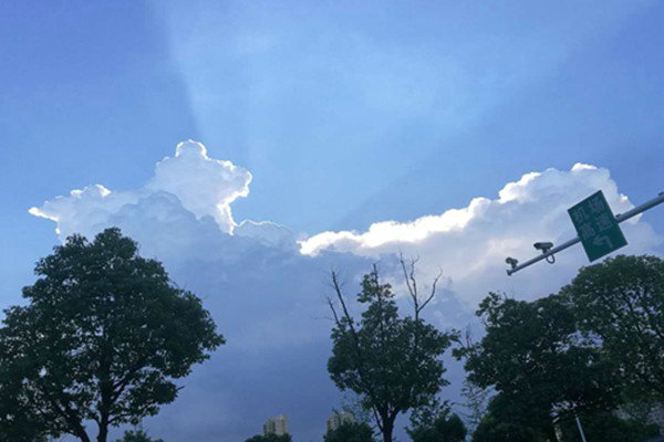 安徽臭氧防控的科技逆襲：走航監(jiān)測精準(zhǔn)狙擊，污染天數(shù)驟降近三成！