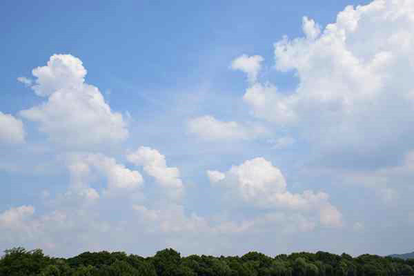 精準(zhǔn)“削峰”戰(zhàn)臭氧，全力守護(hù)“瓷都藍(lán)”