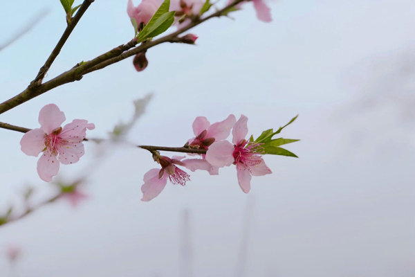 助企精準治污降本增效，蘇州首個“炭管家”智慧平臺全面推廣