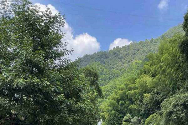 寧夏“十五五”規(guī)劃建議出爐 加快經(jīng)濟社會發(fā)展全面綠色轉(zhuǎn)型